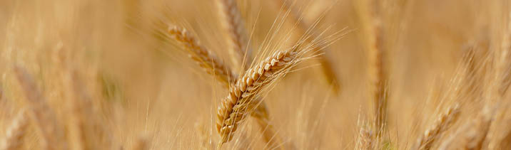 Вступил в силу закон о 